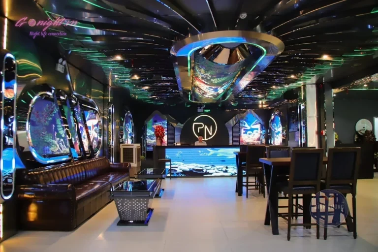 Karaoke Phương Ngân KTV – Đ. D3a, Thủ Dầu Một (4)