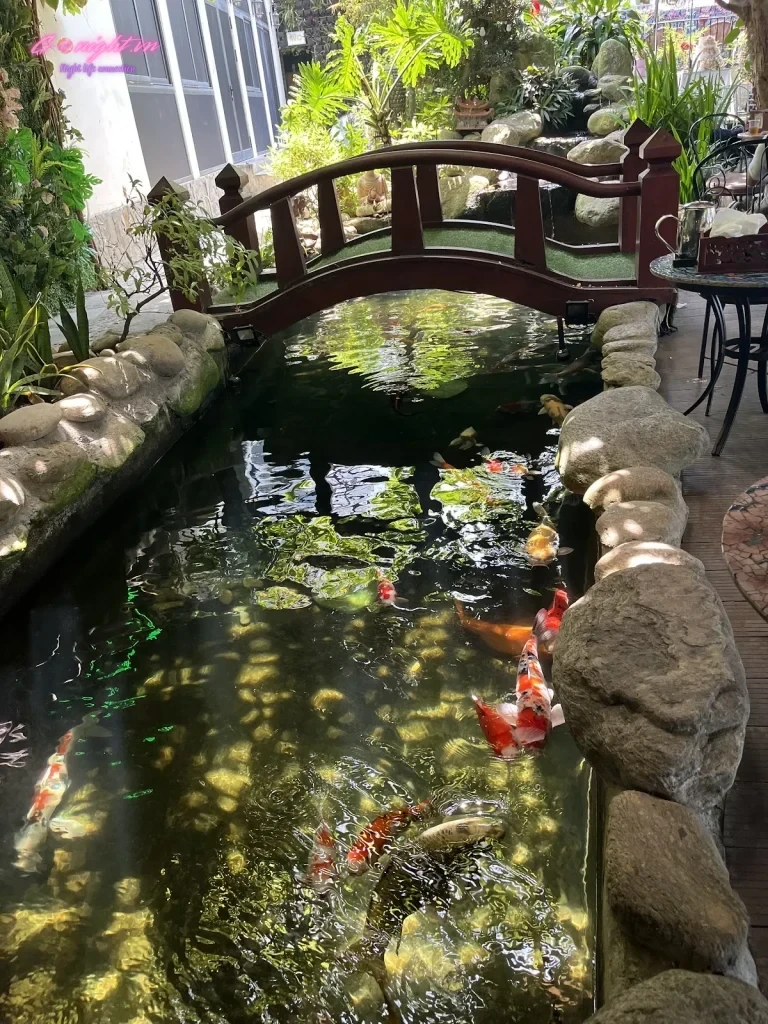 Cham Spa & Massage – Lê Quang Hòa, Cẩm Lệ (7)