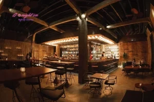 Drinking & Healing Bar - Hồ Tùng Mậu, Quận 1 (1)