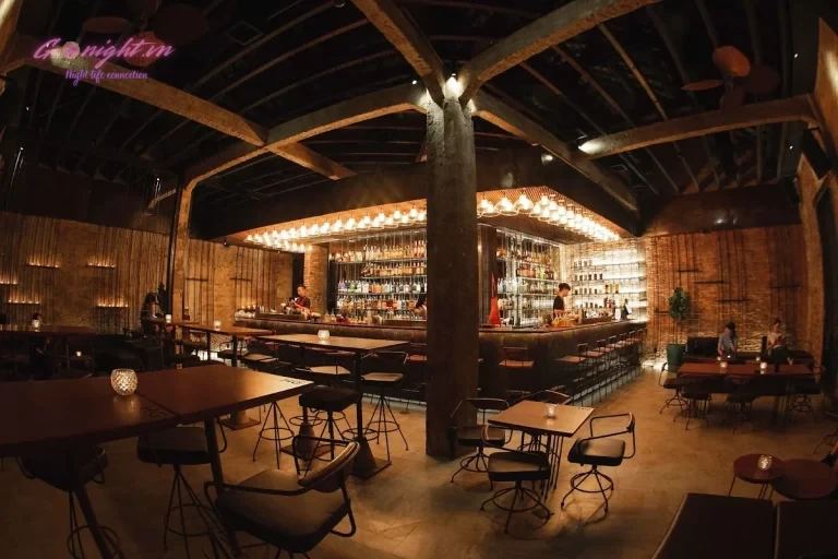 Drinking & Healing Bar – Hồ Tùng Mậu, Quận 1