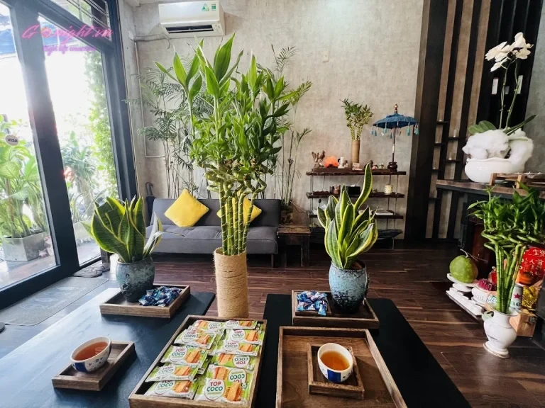 OANI SPA – Phan Liêm, Ngũ Hành Sơn (4)