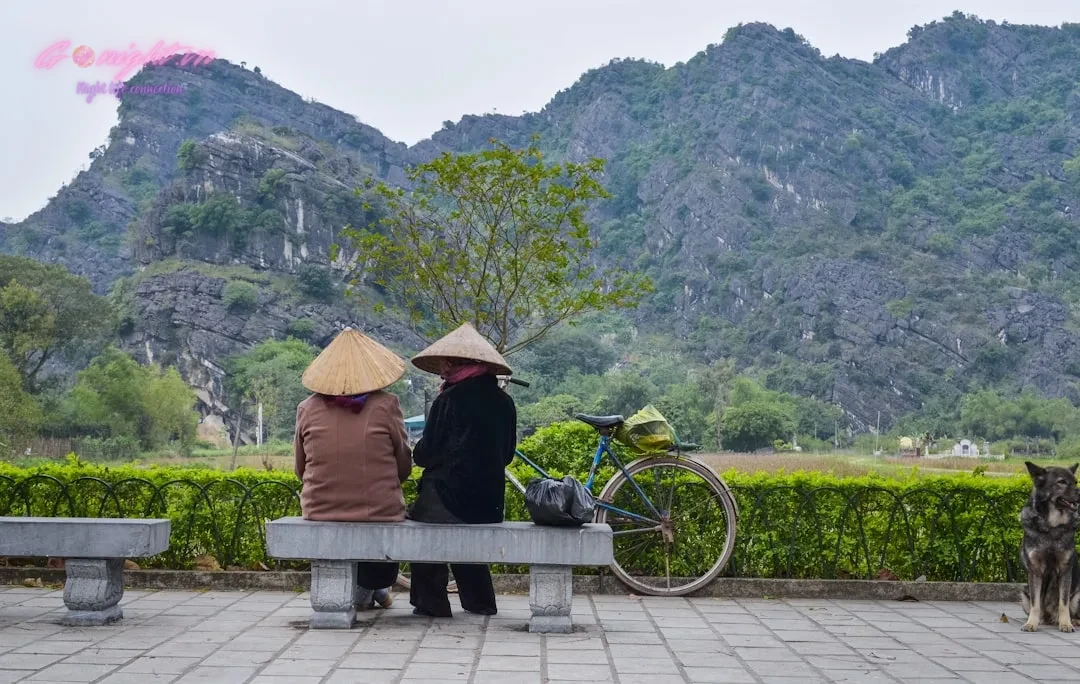 a couple of people sitting on a bench with a dog