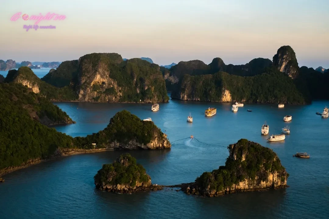 Nha Trang's Rhythmic Nights: Top 7 Live Music Bars & Pubs for an Unforgettable Evening 9 a group of boats in the water with Ha Long Bay in the background