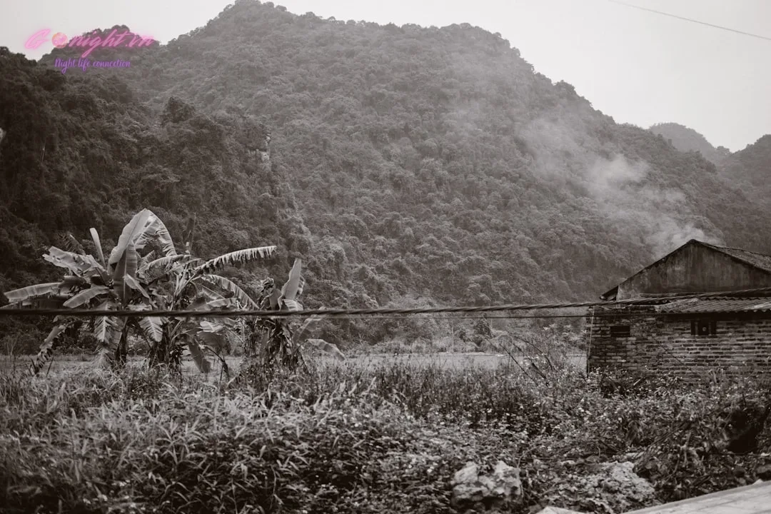 Solasta Restaurant & Bar Bảo Khánh: Trải Nghiệm Ẩm Thực & Cocktail Tinh Hoa Giữa Lòng Hà Nội 2 A black and white photo of a mountain range