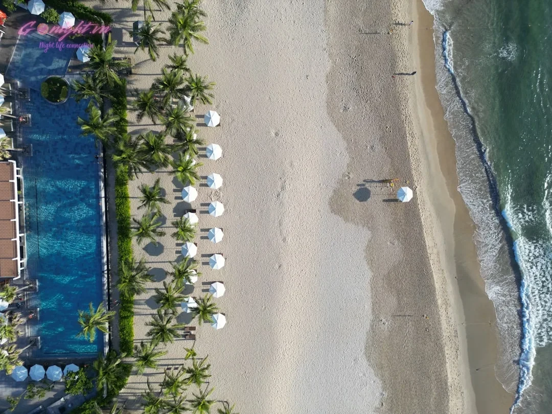 an aerial view of a beach with chairs and umbrellas
