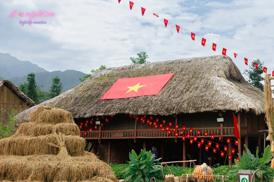A building with a thatched roof and a flag on top of it