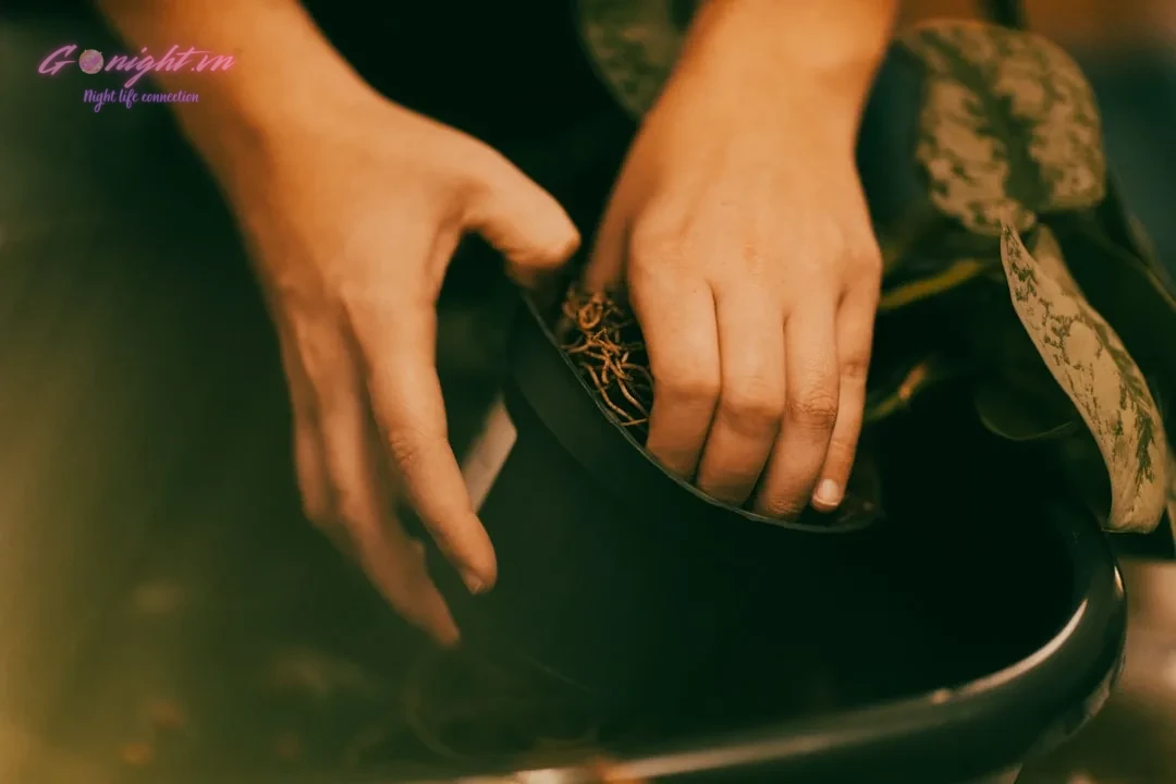 Da Nang Spa Survival Guide: How to Choose the Right Vietnamese Massage for You 2 a close up of a person holding a pot with a plant in it
