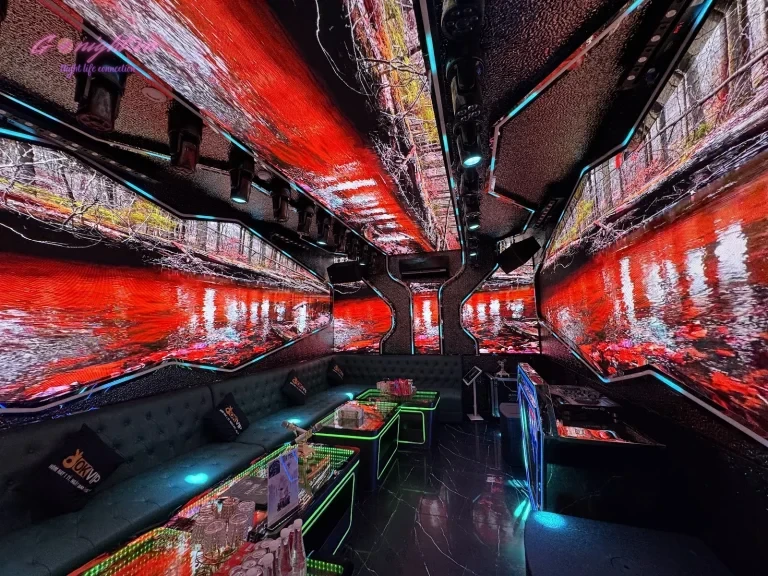 KARAOKE MATRIX KTV - Khu dân cư Trung Sơn, Bình Chánh (5)