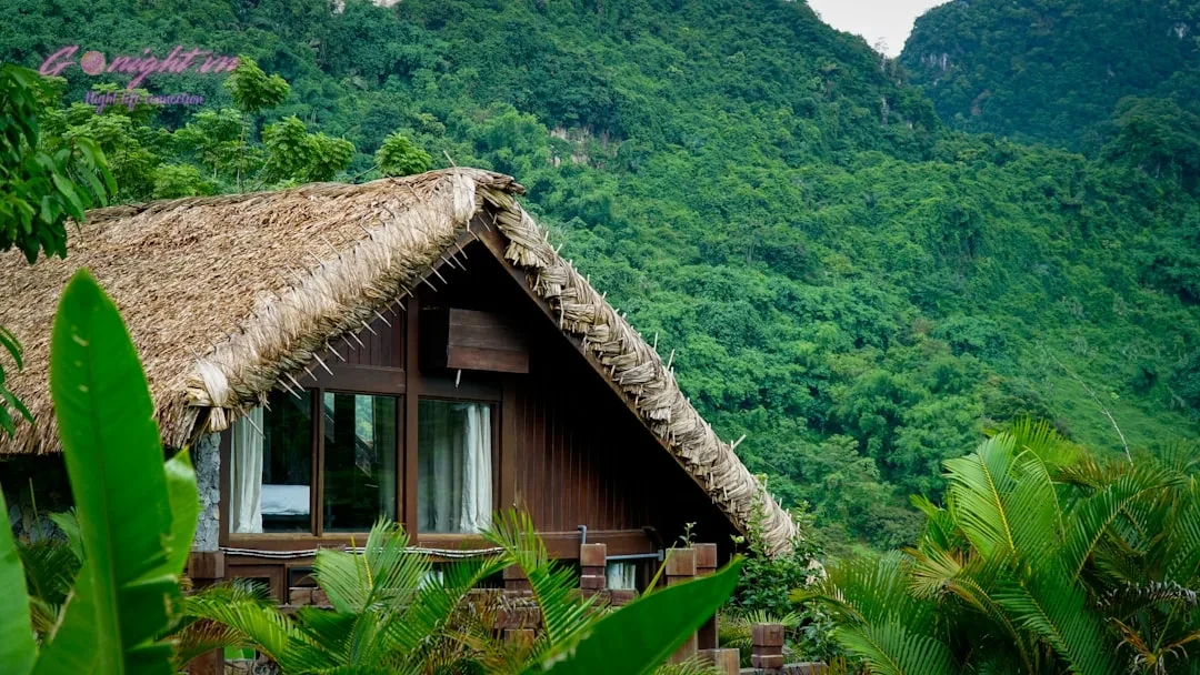 A cabin nestled in the lush green forest.