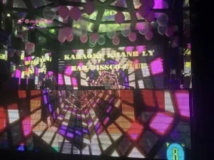 Karaoke Khánh Ly – Trâu Quỳ, Gia Lâm (1)
